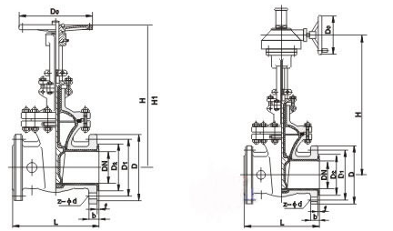 Z41F46、Z641F46、Z941F46耐腐蝕襯氟閘閥結構圖