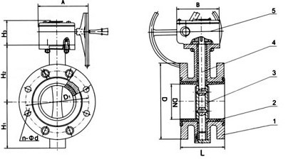 D341X法蘭橡膠蝶閥結構圖